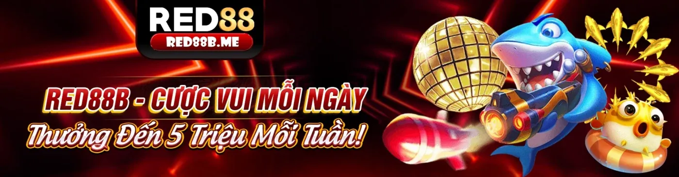 Hình ảnh tổng quan về các lựa chọn giải trí tại 6789r8